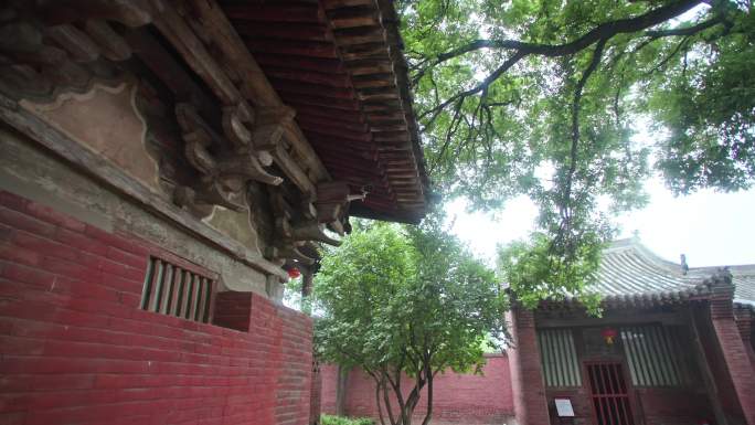 山西平遥古建镇国寺古树飞檐