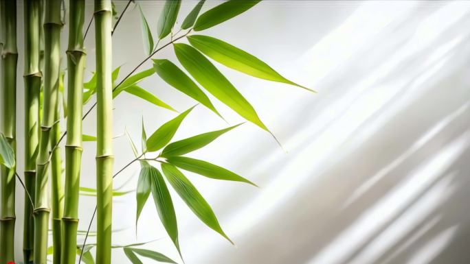 竹林竹子光影意境禅意唯美阳光廉洁