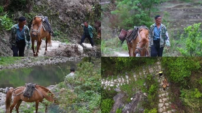 历史茶马古道繁荣古代经济古道山路商队