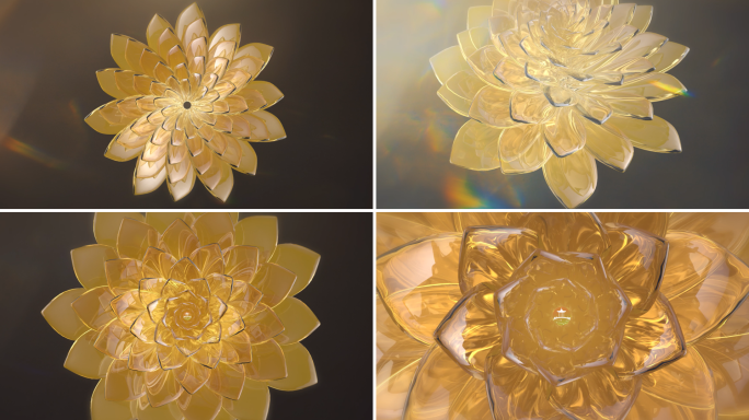 AE花朵展开片头片尾LOGO