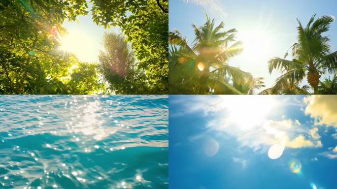 大暑 夏日炎炎 烈日当空 椰林 波光粼粼