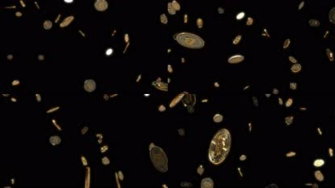 8K金币下落大屏透明通道三维硬币比特币