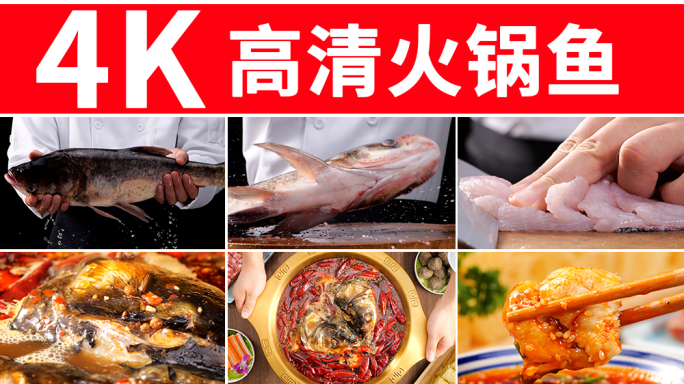 火锅鱼 鱼火锅