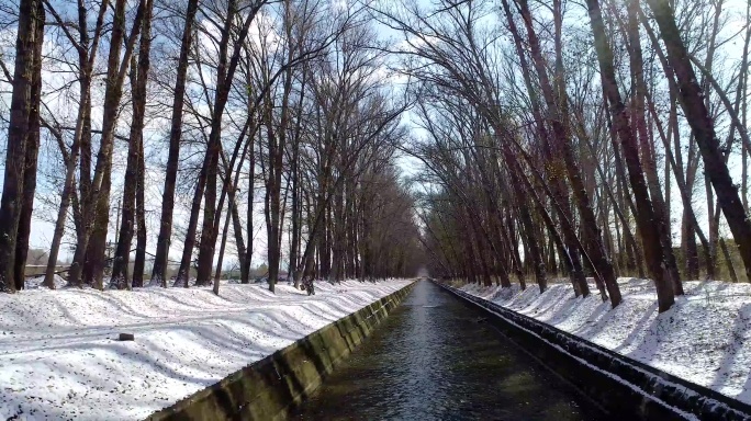 太原崛围山西干渠尖草坪呼延村冬天树林