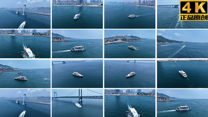 4K-游艇在大海上航行 大连游艇和海鸥