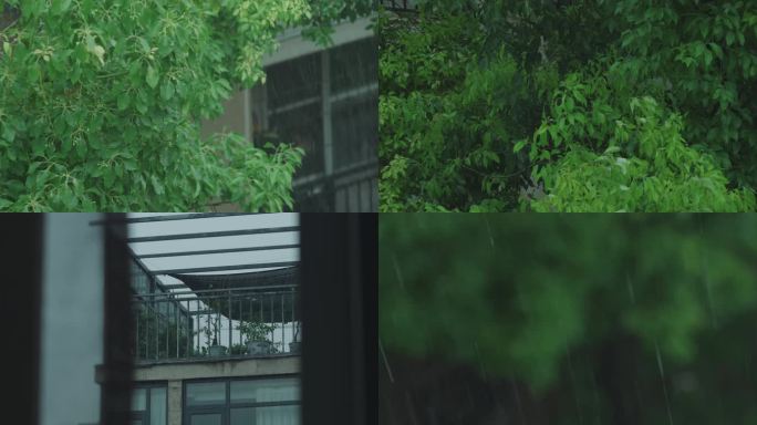 大暴雨中的小区