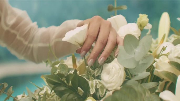 摘花 赏花 美女 公园 休闲