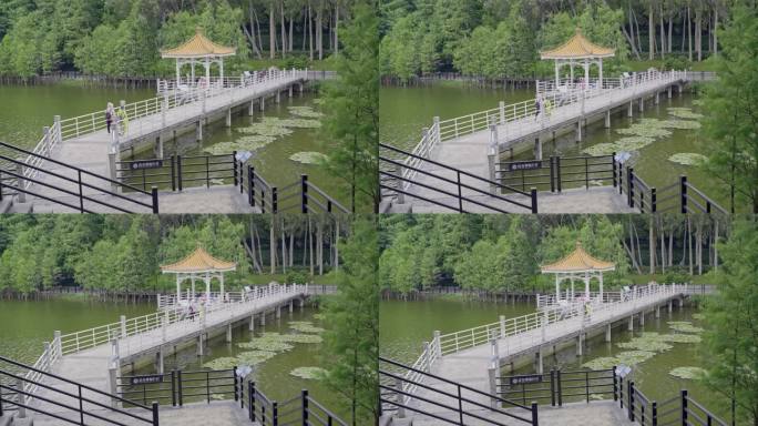 4K俯拍广州麓湖公园市民过长廊走向湖心亭