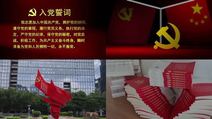 党徽党旗党章入党 主旋律合集