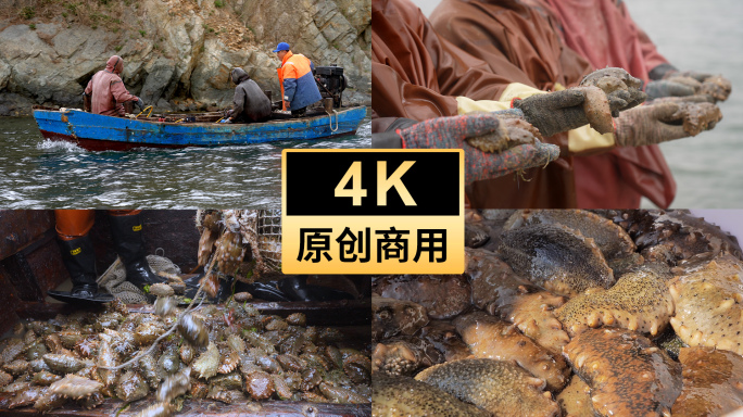 4K 海参捕捞 渔船作业 渔民