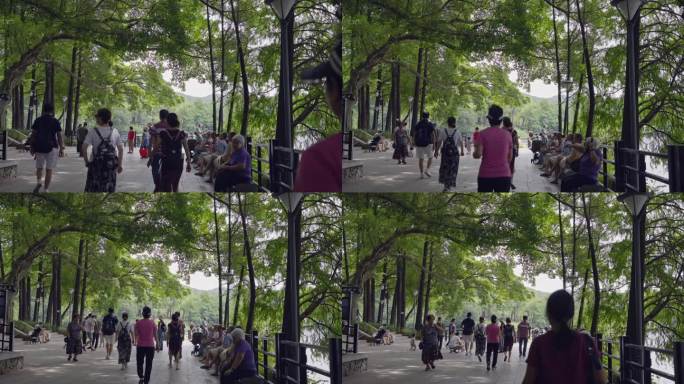 4K实拍广州麓湖公园树荫下木栈道散步市民