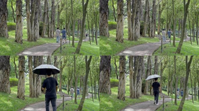 4K实拍，广州麓湖公园林荫小路市民在散步