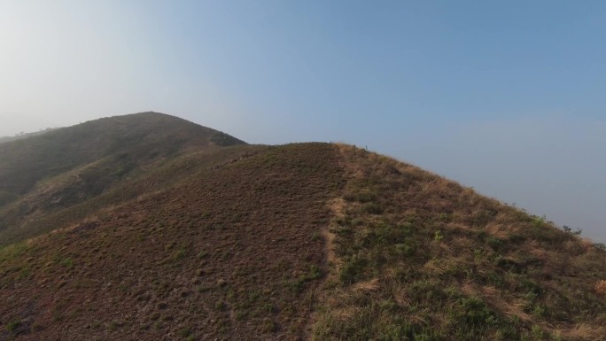 初夏清晨的山脊