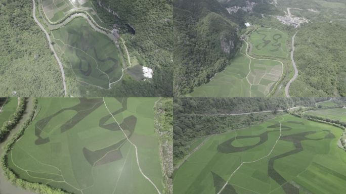 4K安顺龙宫龙字田航拍灰片素材