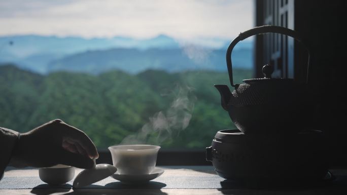 茶 泡茶沏茶茶道茶文化倒茶功夫茶喝茶品茶
