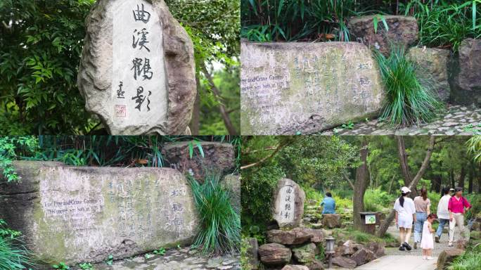 古猗园 石标 观赏 鱼塘