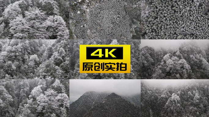 高山雪淞 森林雾凇 雪景 冬天严寒下雪