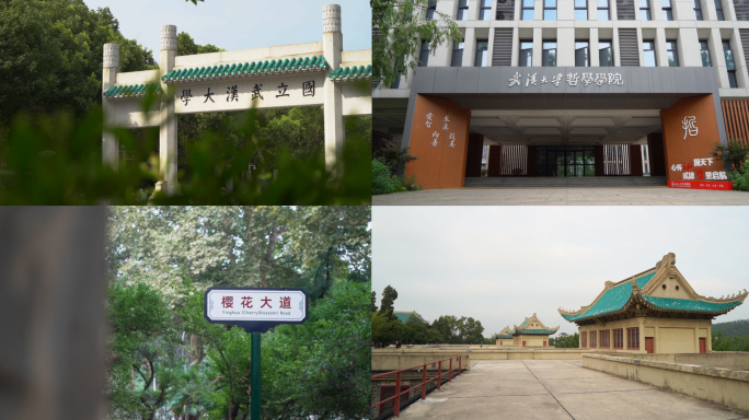 武汉大学02