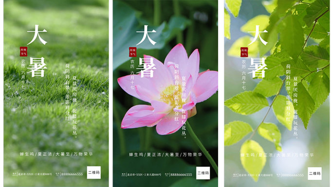 大暑节气AE模板【素材可商用】