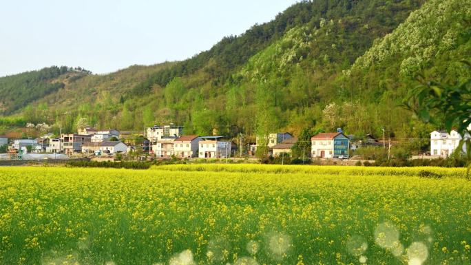 新农村田园背景36