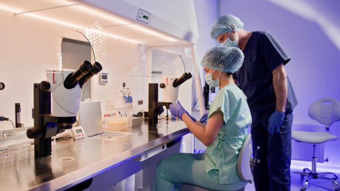 临床实验室工作人员在显微镜下检查样品。胚胎学家在实验室用显微镜对人类卵子进行人工受精。