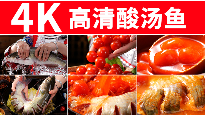 酸汤鱼 贵州美食