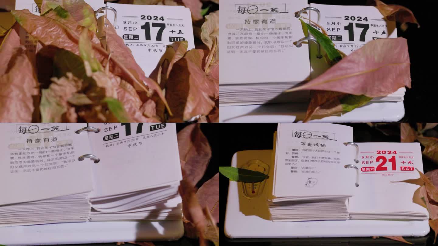 2024年仲秋节日历慢动作_视频素材下载_编号30622018_光厂(VJ师网)