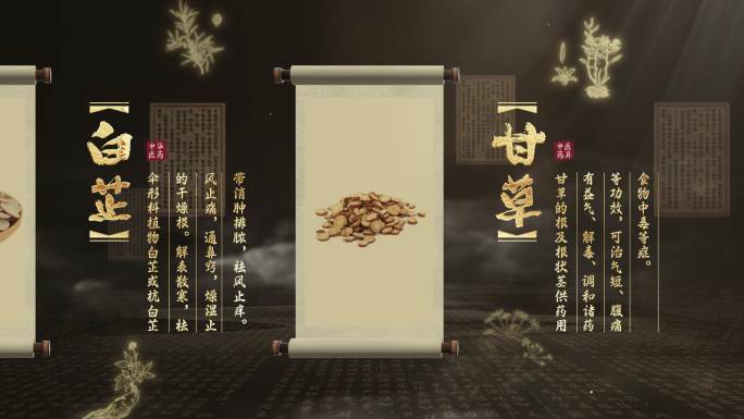 中医药材展示