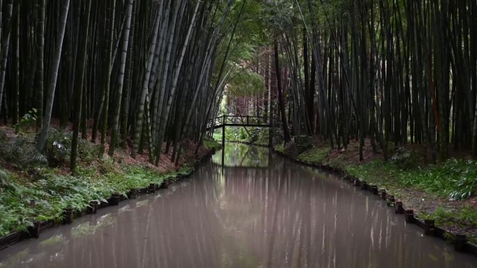 苏州同里国家湿地公园竹林摆渡船