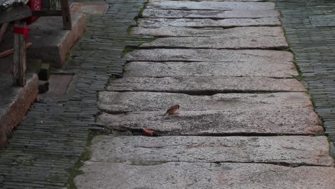 古街/古城/老街/老巷清晨傍晚