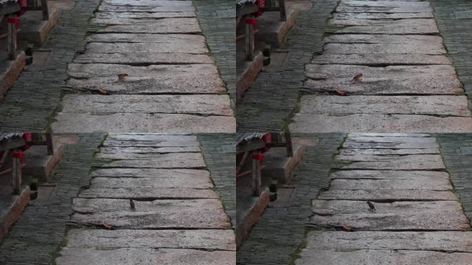 古街/古城/老街/老巷清晨傍晚