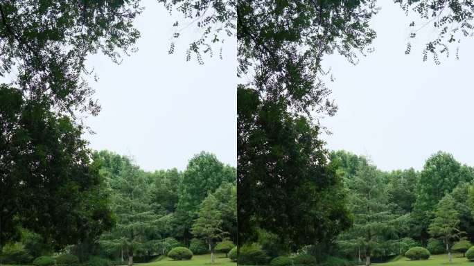 公园一角 安静祥和