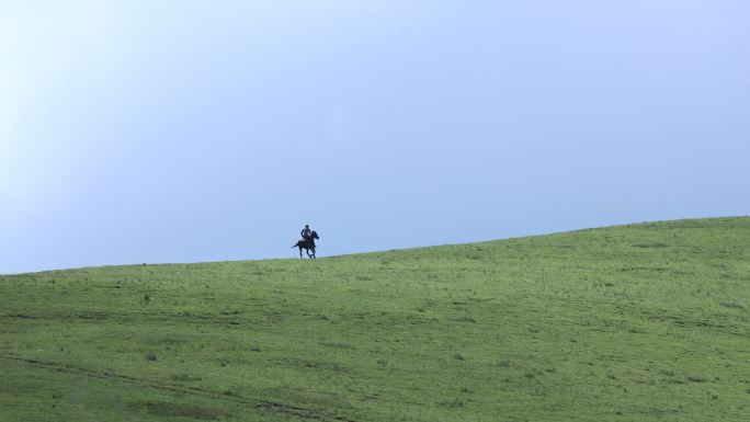 【4k】草原骑马