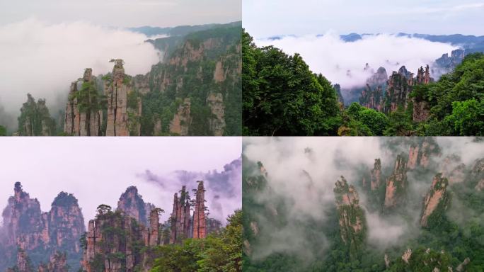 幻色御笔峰  醉立云雾中