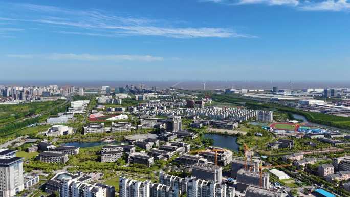 临港新城临港新片区综合服务楼临港各所大学