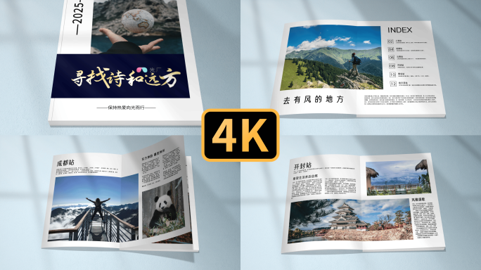 【无插件】铜版纸宣传画册