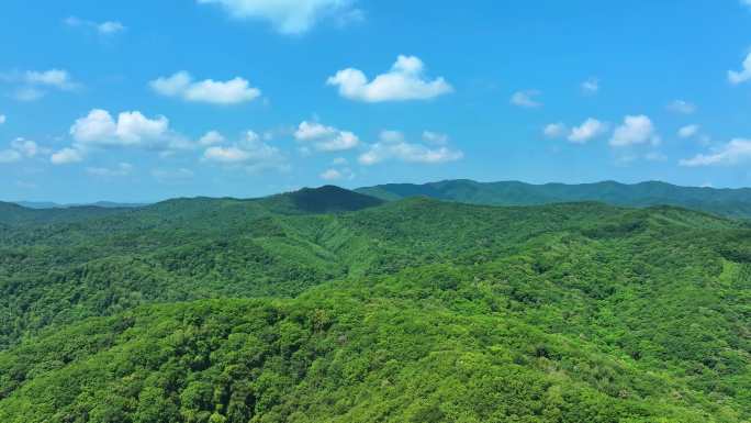 辽宁抚顺新宾青山绿水乡村振兴 (1)