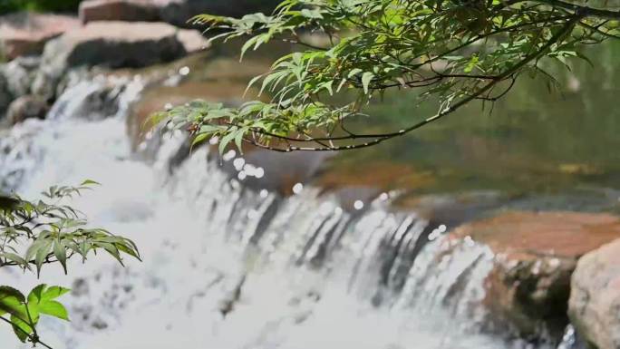 沂源朱阿村夏日小桥流水