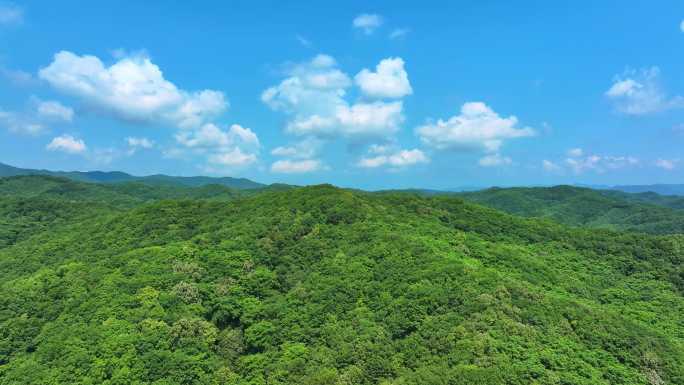 辽宁抚顺新宾青山绿水乡村振兴 (7)