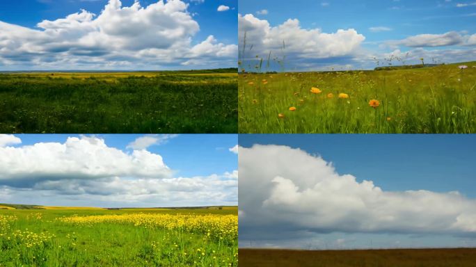 唯美草原镜头 旷野 大草原背景