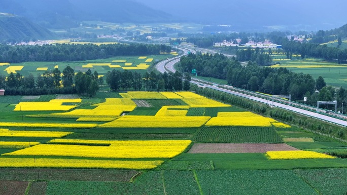 油菜花高速公路航拍 油菜花海村庄航拍