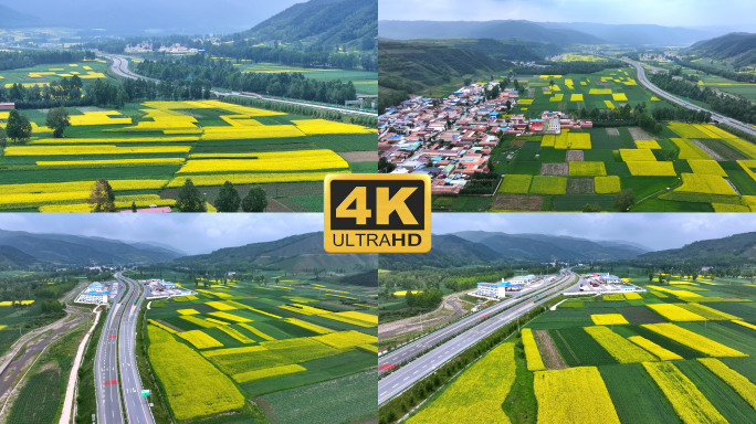 油菜花高速公路航拍 油菜花海村庄航拍