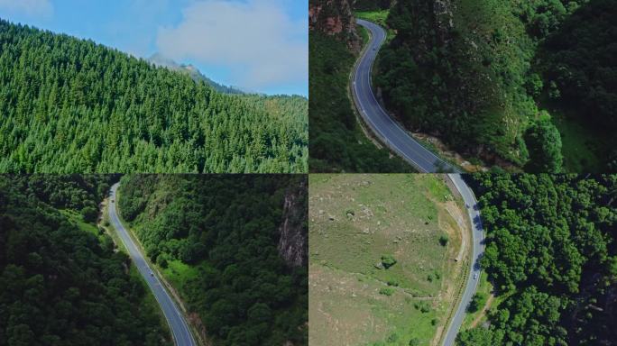 祁连山云海公路自驾