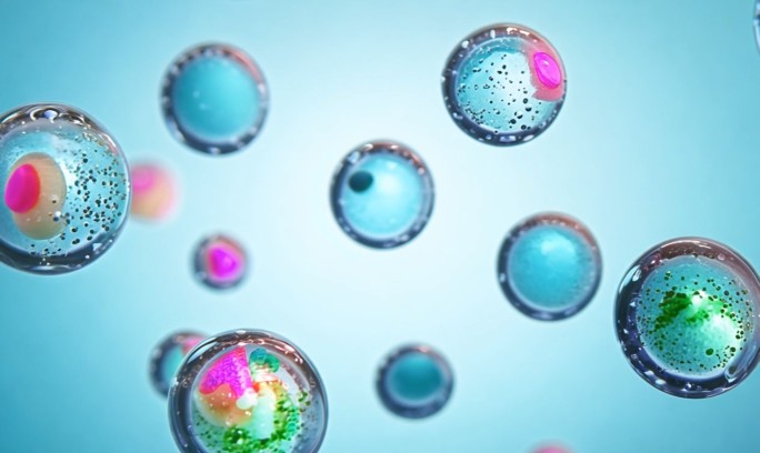 含有活性成分的脂质体素材