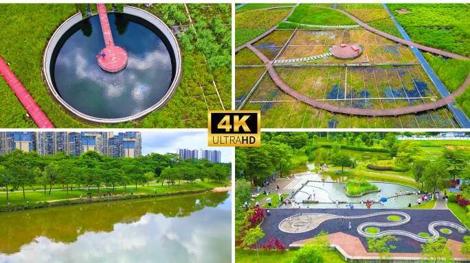 深圳 观澜河湿地公园