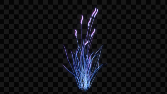 蓝紫色水晶发光芦苇生长动画-带透明通道