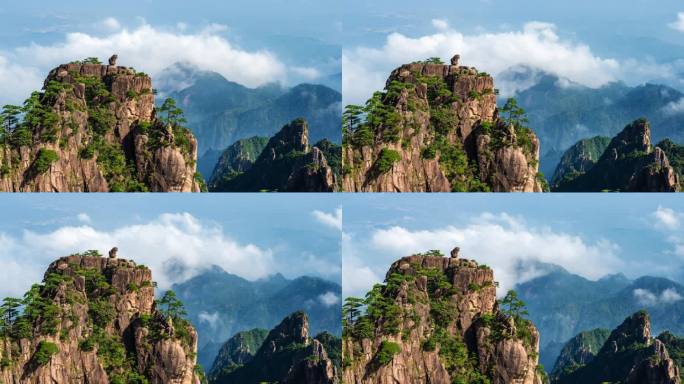 黄山 猴子观海 云海