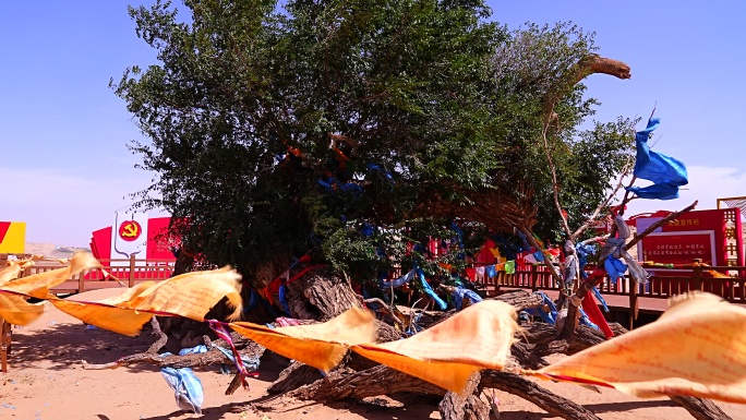 地貌 沙漠化 荒山野岭 沙尘暴