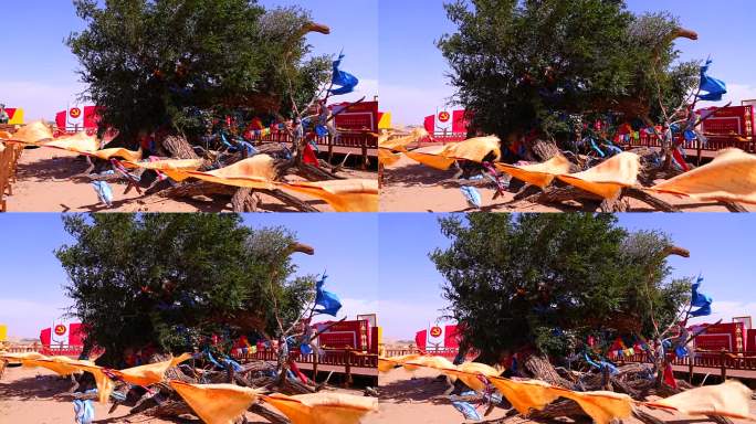 地貌 沙漠化 荒山野岭 沙尘暴