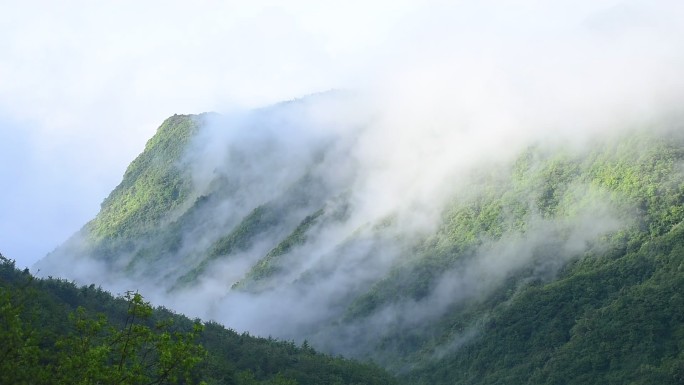 唯美大气山间云雾缭绕山岚腾驰大山雾景